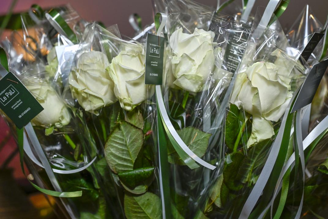 bloemen, witte rozen