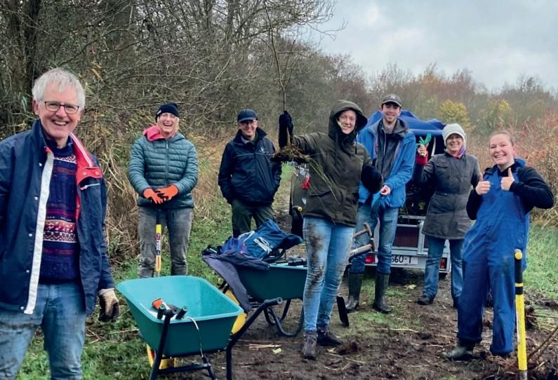 Meer Bomen Nu oogsten