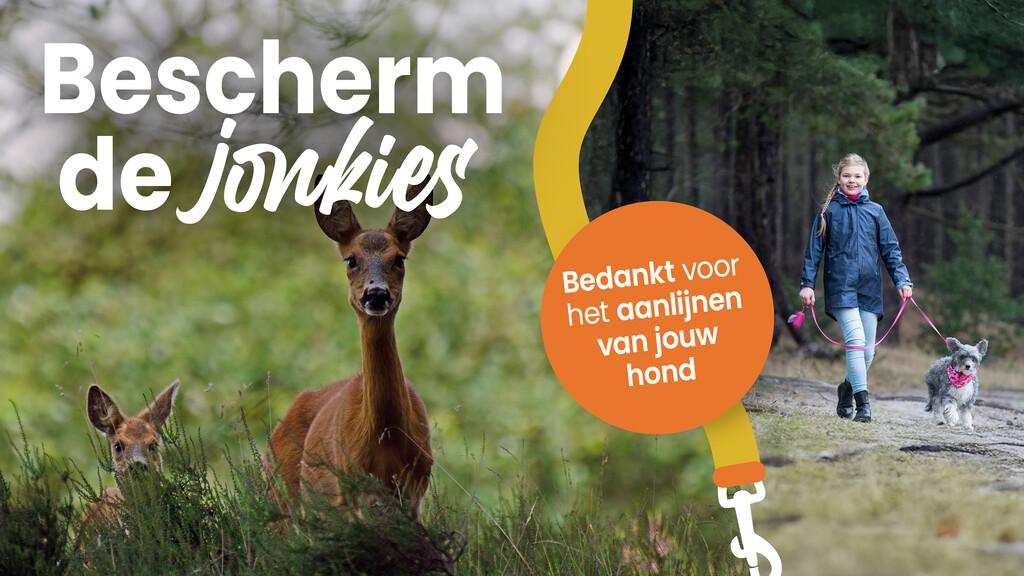 campagne bescherm de jonkies