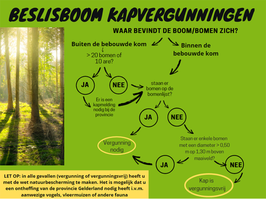 Beslisboom kapvergunningen